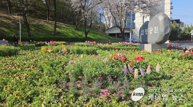 이천시, 설봉공원 봄맞이 초화류 식재 완료