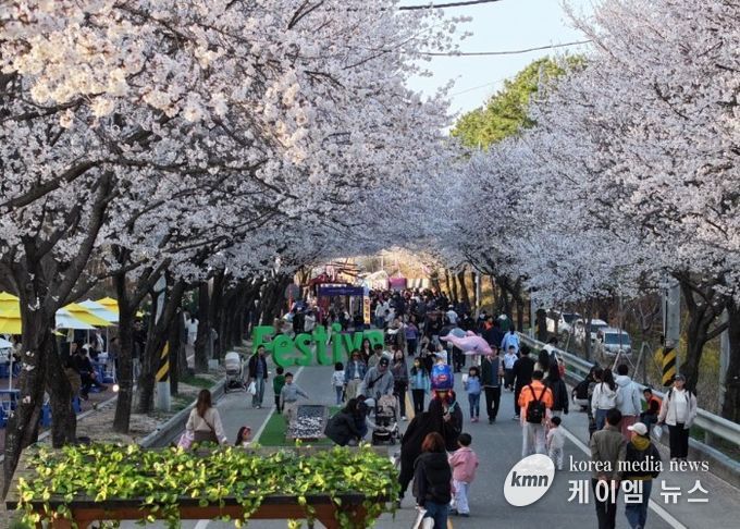 제10회 여주흥천남한강벚꽃축제 43만명 방문, 역대 최고 성과 달성